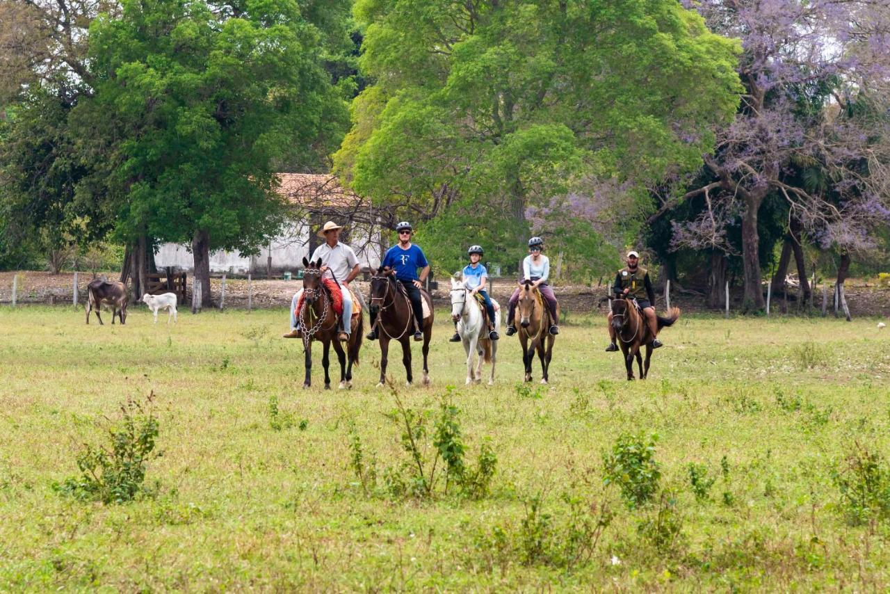 Pousada Fazenda Xaraes Todos os Santos Exteriér fotografie