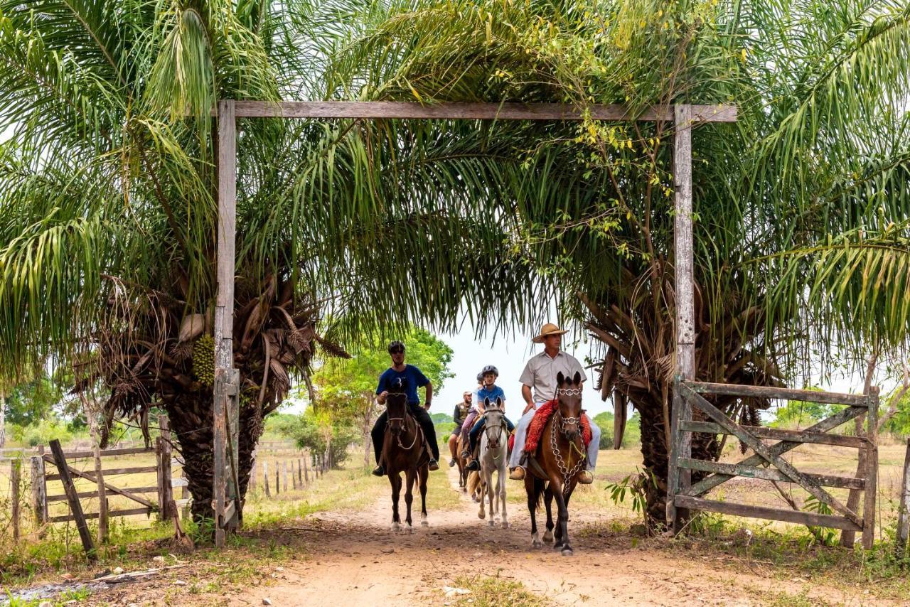 Pousada Fazenda Xaraes Todos os Santos Exteriér fotografie