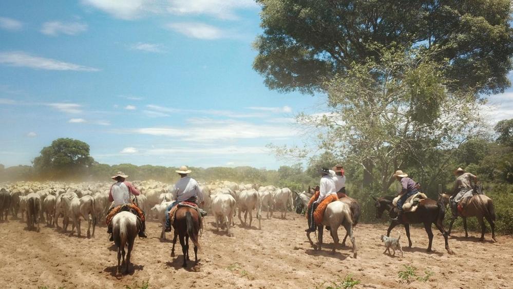 Pousada Fazenda Xaraes Todos os Santos Exteriér fotografie