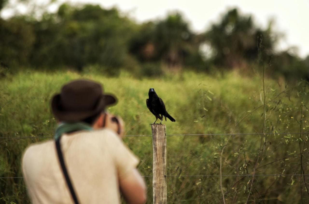 Pousada Fazenda Xaraes Todos os Santos Exteriér fotografie