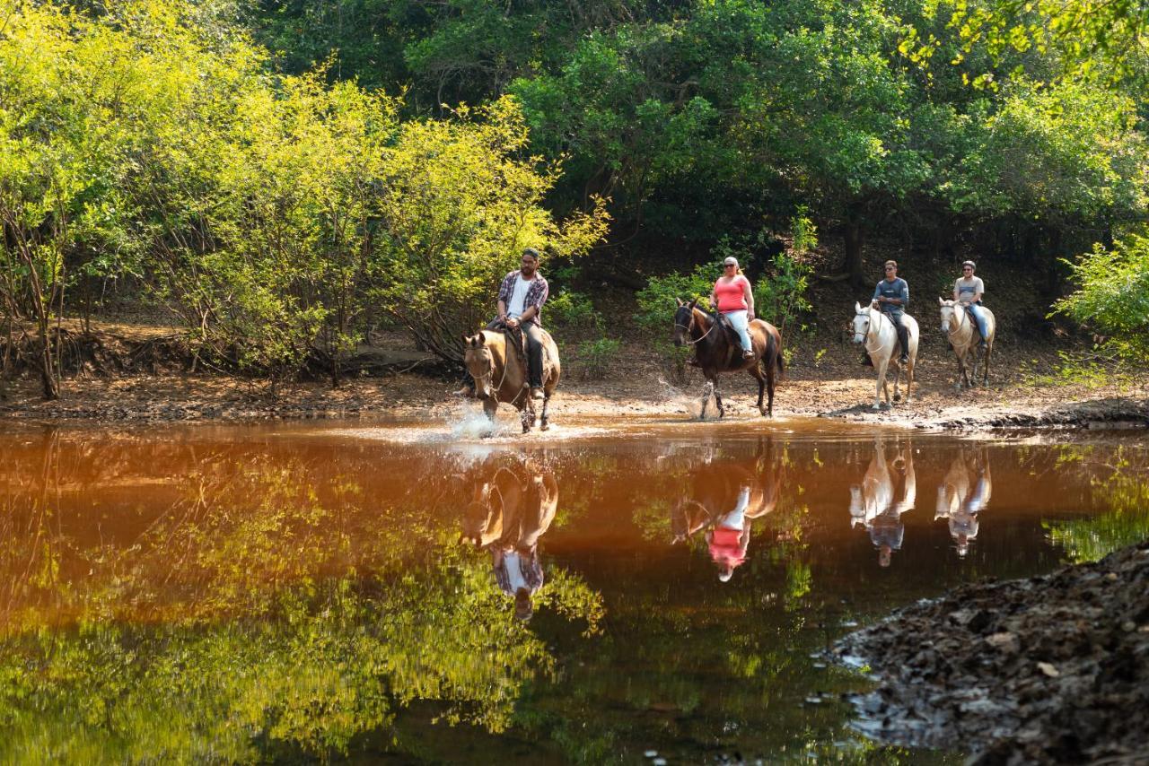 Pousada Fazenda Xaraes Todos os Santos Exteriér fotografie