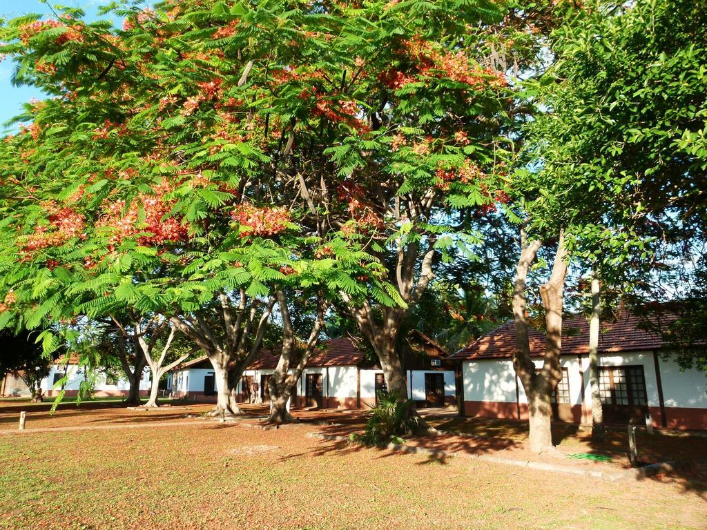 Pousada Fazenda Xaraes Todos os Santos Exteriér fotografie