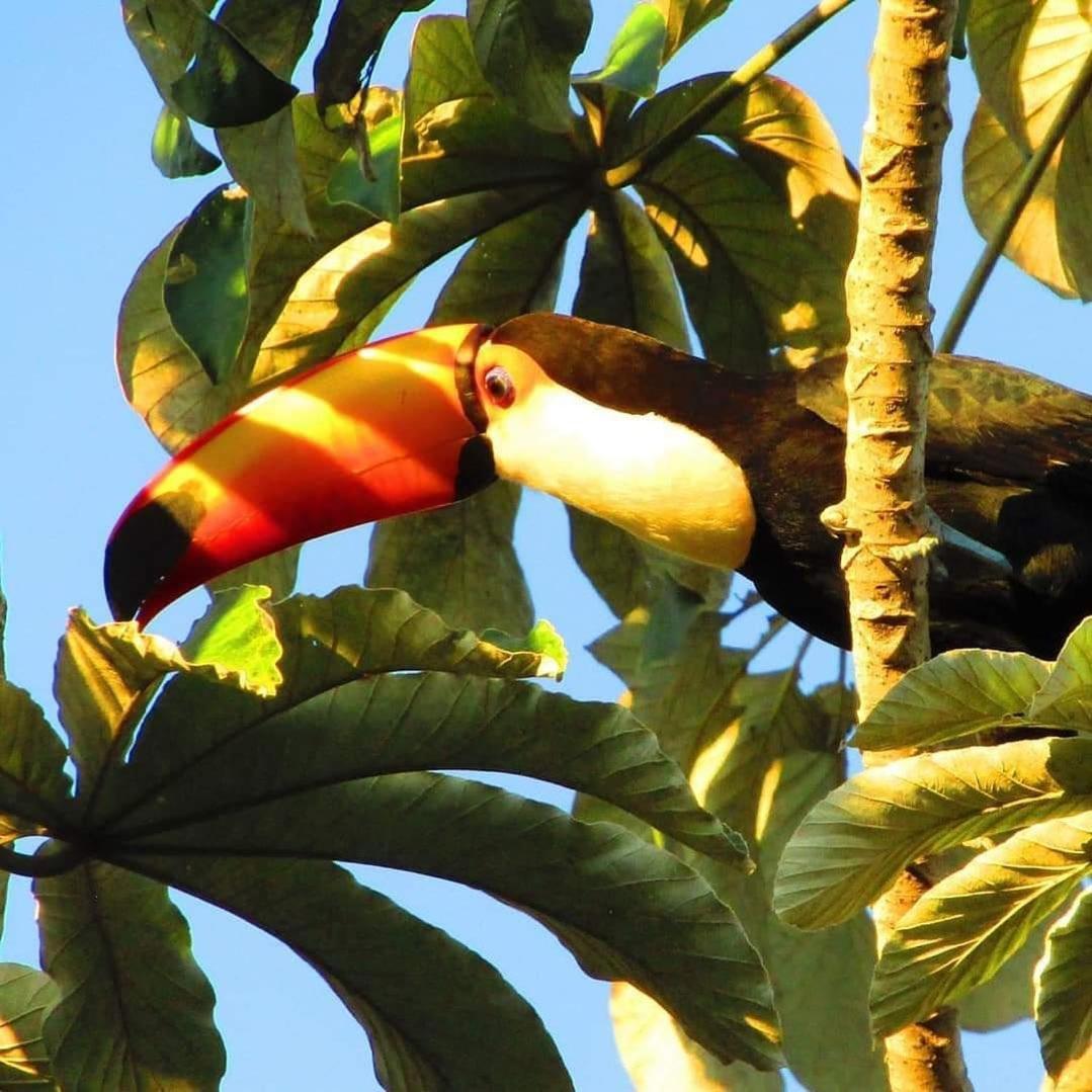 Pousada Fazenda Xaraes Todos os Santos Exteriér fotografie