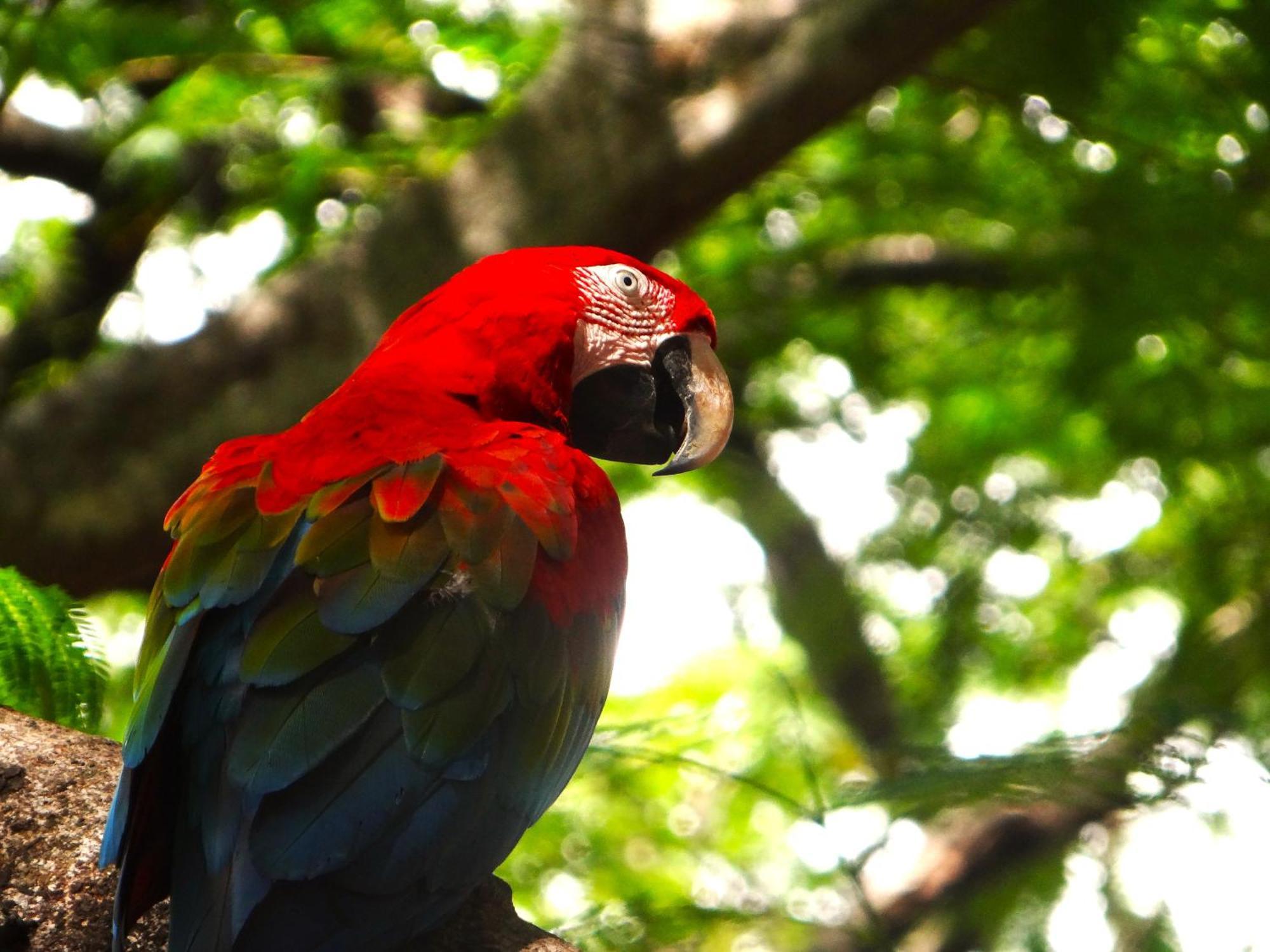 Pousada Fazenda Xaraes Todos os Santos Exteriér fotografie