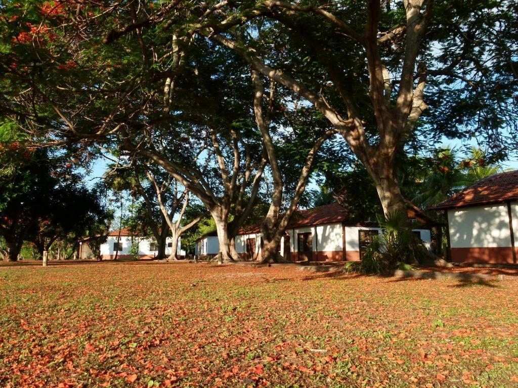Pousada Fazenda Xaraes Todos os Santos Exteriér fotografie